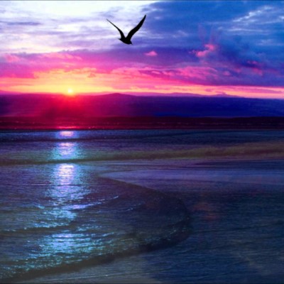 1920 x 1080 HD Wallpapers 2890